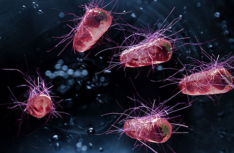 Study reveals exchange of microbiome bacteria could increase risk of disease